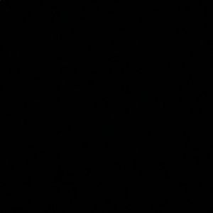 Meet your Posher, Chase